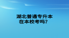 湖北普通專升本在本?？紗?？