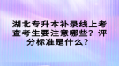 湖北專升本補(bǔ)錄線上考查考生要注意哪些？評(píng)分標(biāo)準(zhǔn)是什么？