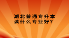 湖北普通專升本讀什么專業(yè)好？