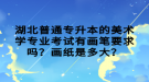 湖北普通專升本的美術學專業(yè)考試有畫筆要求嗎？畫紙是多大？