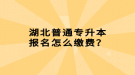 湖北普通專升本報(bào)名怎么繳費(fèi)？