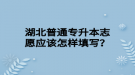 湖北普通專升本志愿應(yīng)該怎樣填寫？