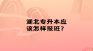 湖北專升本應(yīng)該怎樣報(bào)班？