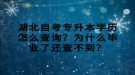 湖北自考專升本學(xué)歷怎么查詢？為什么畢業(yè)了還查不到？