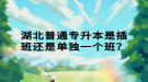 湖北普通專升本是插班還是單獨一個班？