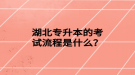 湖北專升本的考試流程是什么？