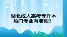 湖北成人高考專升本熱門專業(yè)有哪些？