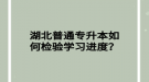 湖北普通專升本如何檢驗學習進度？