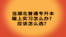 當湖北普通專升本碰上實習怎么辦？應該怎么選？