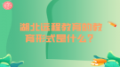 湖北遠(yuǎn)程教育的教育形式是什么？