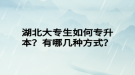 湖北大專生如何專升本？有哪幾種方式？