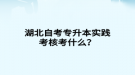 湖北自考專升本實踐考核考什么？