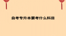 自考專(zhuān)升本要考什么科目