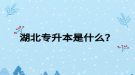 湖北專升本是什么？