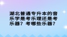 湖北普通專(zhuān)升本的音樂(lè)學(xué)是考樂(lè)理還是考樂(lè)器？考哪些樂(lè)器？