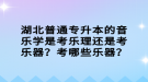 湖北普通專升本的音樂學(xué)是考樂理還是考樂器？考哪些樂器？