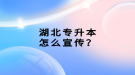 湖北專升本怎么宣傳？