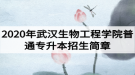 2020年武漢生物工程學院普通專升本招生簡章