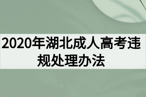 2020年湖北成人高考違規(guī)處理辦法