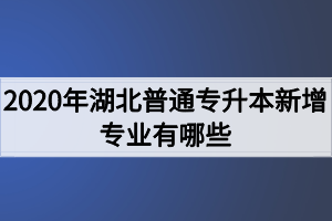 2020年湖北普通專升本新增專業(yè)有哪些？