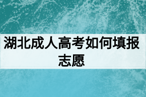 湖北成人高考如何填報(bào)志愿