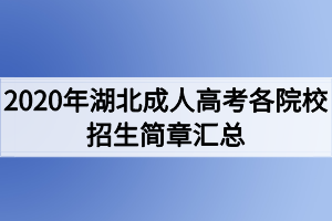 2020年湖北成人高考各院校招生簡章匯總