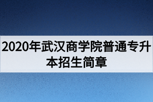 2020年武漢商學院普通專升本招生簡章