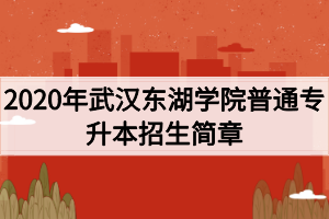 2020年武漢東湖學(xué)院普通專升本招生簡(jiǎn)章