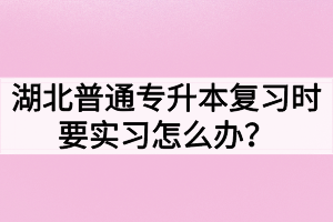 湖北普通專升本復習時要實習怎么辦？