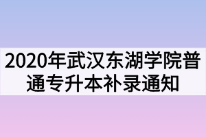 2020年武漢東湖學(xué)院普通專升本補(bǔ)錄通知