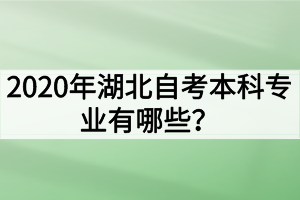 2020年湖北自考本科專業(yè)有哪些？哪些專業(yè)的就業(yè)前景好