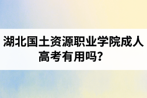 湖北國(guó)土資源職業(yè)學(xué)院成人高考有用嗎？學(xué)習(xí)采取的是什么方式？