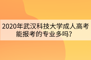 2020年武漢科技大學(xué)成人高考能報考的專業(yè)多嗎？