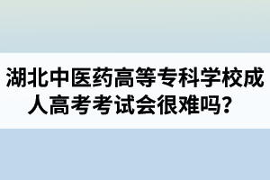 湖北中醫(yī)藥高等?？茖W(xué)校成人高考考試會(huì)很難嗎？壓力會(huì)不會(huì)很大？