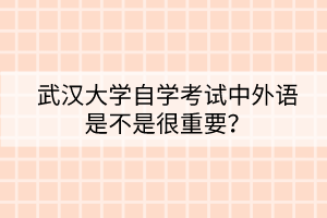 武漢大學自學考試中外語是不是很重要？