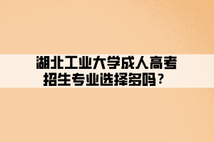 湖北工業(yè)大學成人高考招生專業(yè)選擇多嗎？