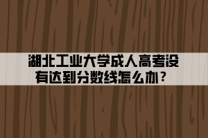 湖北工業(yè)大學(xué)成人高考沒有達(dá)到分?jǐn)?shù)線怎么辦？