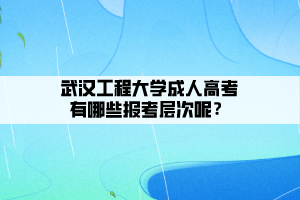 武漢工程大學(xué)成人高考有哪些報考層次呢？