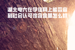 湖北電大在學(xué)信網(wǎng)上能否查到社會認(rèn)可度含金量怎么樣