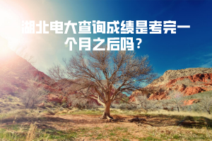 湖北電大查詢成績是考完一個月之后嗎？
