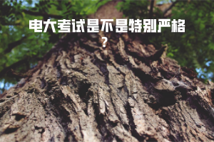 電大考試是不是特別嚴(yán)格？