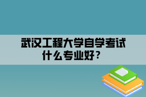 武漢工程大學(xué)自學(xué)考試什么專業(yè)好？