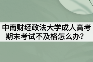 中南財(cái)經(jīng)政法大學(xué)成人高考期末考試不及格怎么辦？