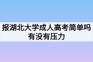 報(bào)湖北大學(xué)成人高考簡(jiǎn)單嗎有沒有壓力