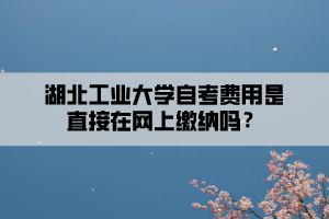 湖北工業(yè)大學(xué)自考費(fèi)用是直接在網(wǎng)上繳納嗎？