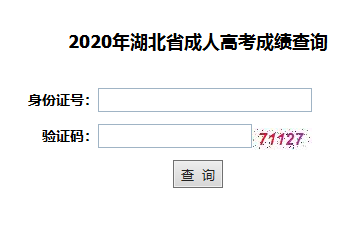 2020年湖北成人高考成績查詢?nèi)肟谝验_通