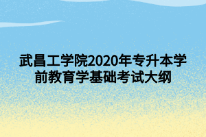 武昌工學院2020年專升本學前教育學基礎考試大綱