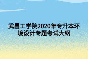 武昌工學(xué)院2020年專升本環(huán)境設(shè)計(jì)專題考試大綱