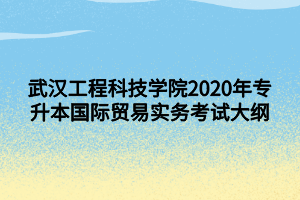 武漢工程科技學(xué)院2020年專升本國際貿(mào)易實務(wù)考試大綱