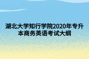 湖北大學(xué)知行學(xué)院2020年專升本商務(wù)英語考試大綱